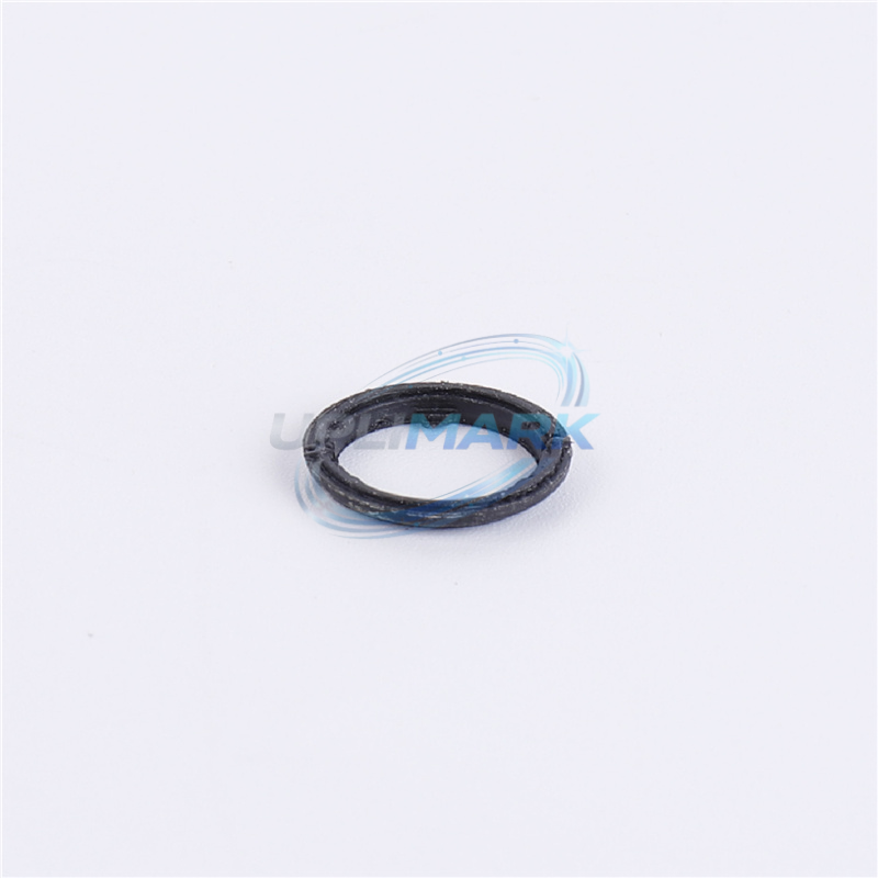 O-RING FOR 14174 PUMP CONNECTOR – For Domino A&A+ Series